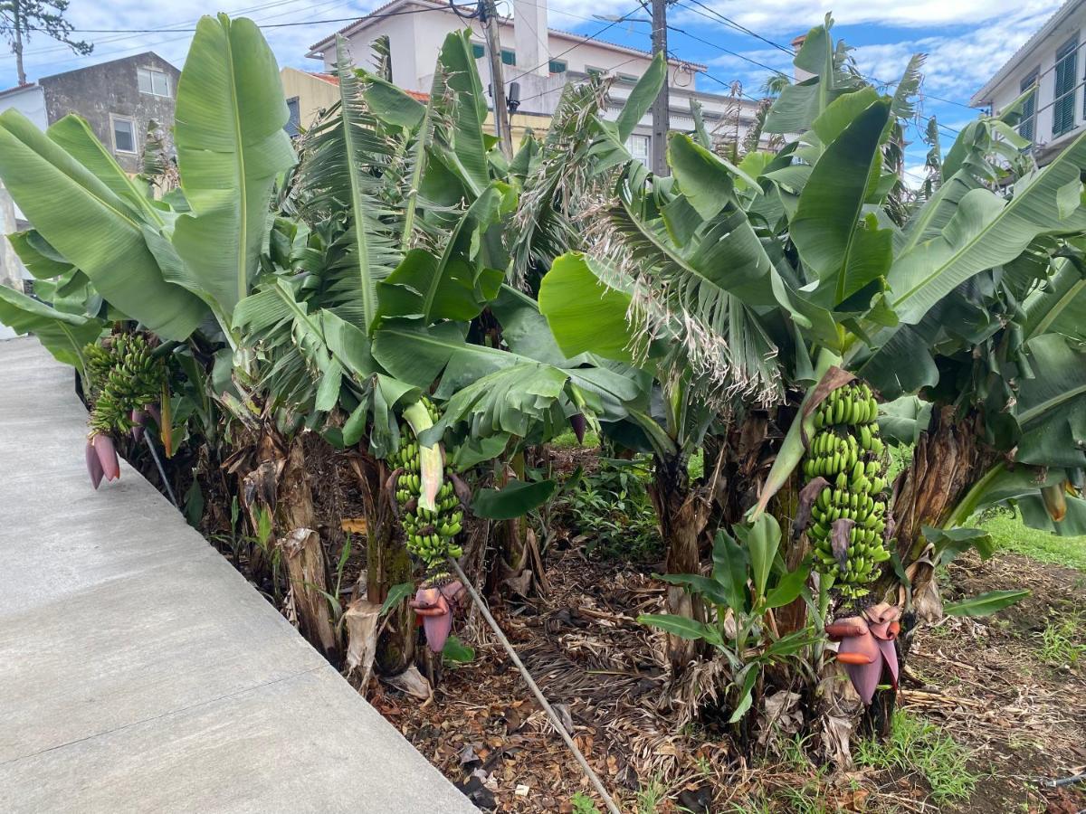Retiro Das Bananeiras Horta  Eksteriør bilde